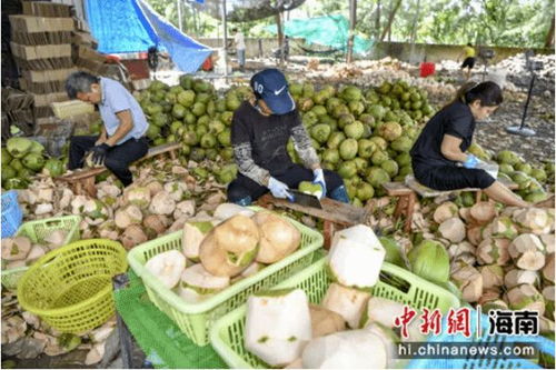 能吃能喝能用能做工艺品还能当化肥,这个水果也太牛了